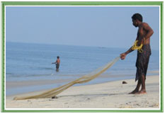 Beach at Mararikulam